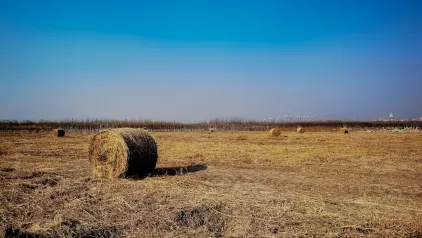 وينزيناتور كازينو تطبيق الهاتف المحمول